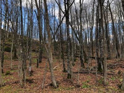 Outlot 3 Skye Dr, Upson, Wisconsin 54565, USA