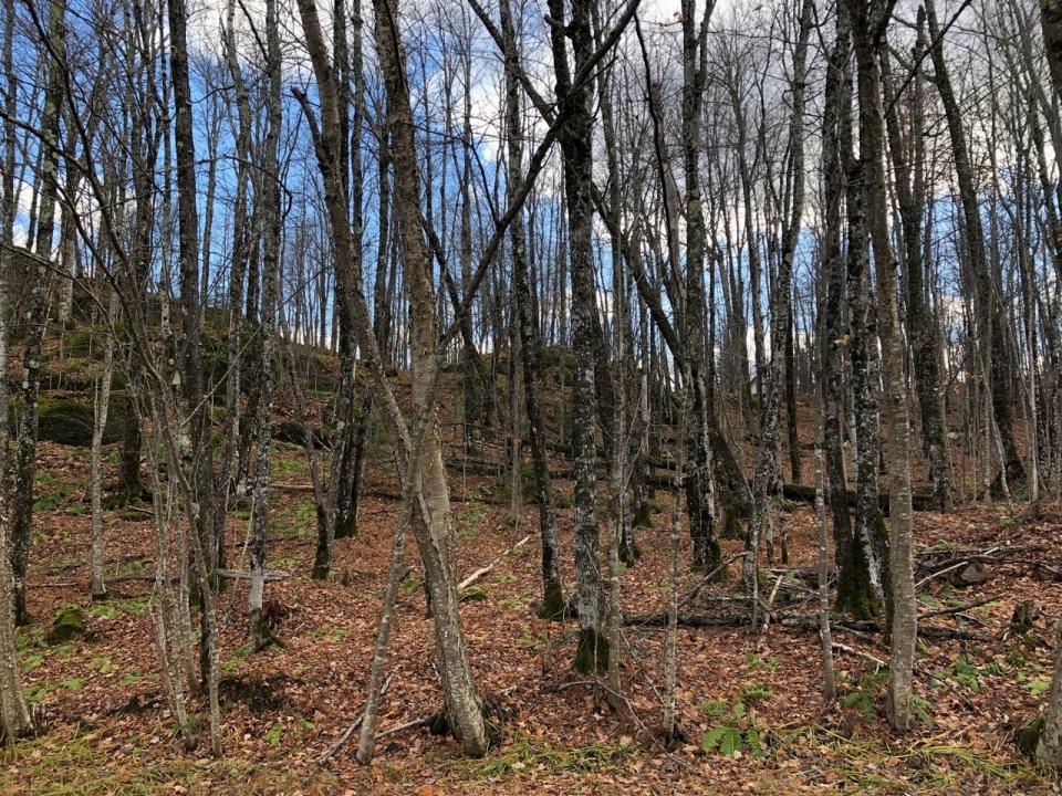 Outlot 3 Skye Dr, Upson, 위스컨신 54565, 미국