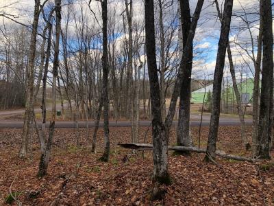 Outlot 3 Skye Dr, Upson, 위스컨신 54565, 미국