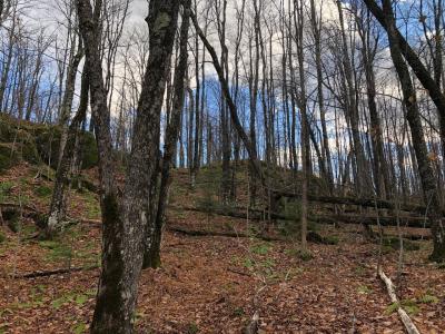 Outlot 3 Skye Dr, Upson, 위스컨신 54565, 미국