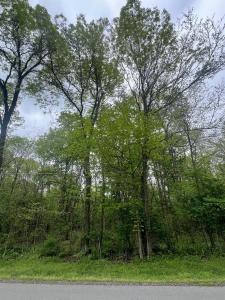 0 Trenton, Put-In-Bay-, Ohio 43456, USA