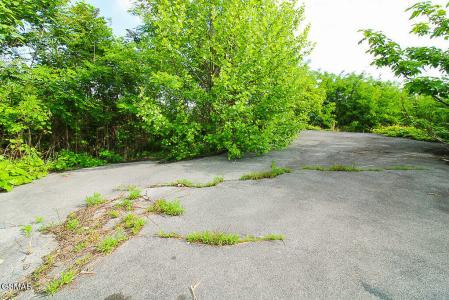 730 Wiley Oakley Drive, Gatlinburg, 테네시 37738, 미국