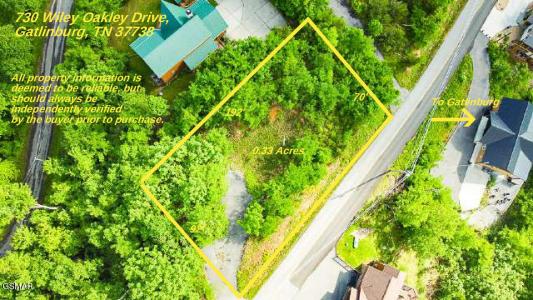 730 Wiley Oakley Drive, Gatlinburg, 테네시 37738, 미국