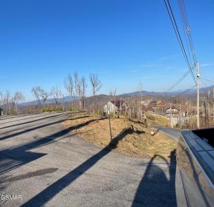 730 Wiley Oakley Drive, Gatlinburg, 테네시 37738, 미국