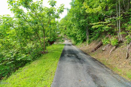 Lot 304 Chestnut Drive, Gatlinburg, 테네시 37738, 미국