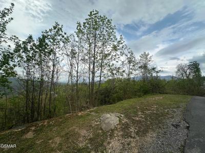 Lot 304 Chestnut Drive, Gatlinburg, 테네시 37738, 미국