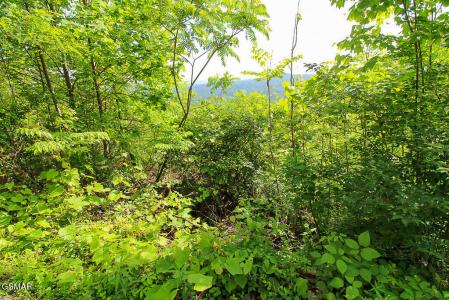 Lot 304 Chestnut Drive, Gatlinburg, 테네시 37738, 미국
