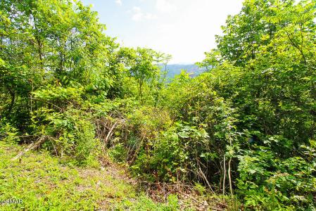 Lot 304 Chestnut Drive, Gatlinburg, 테네시 37738, 미국