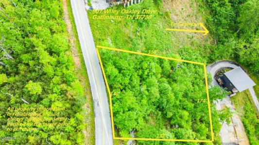 907 Wiley Oakley Drive, Gatlinburg, Tennessee 37738, États-Unis