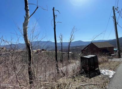 907 Wiley Oakley Drive, Gatlinburg, Tennessee 37738