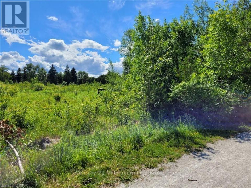 11325 HIGHWAY 26, Collingwood, Ontario L8Y 5H8, Canada
