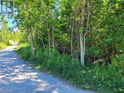 11325 HIGHWAY 26, Collingwood, Ontario L8Y 5H8, Canada