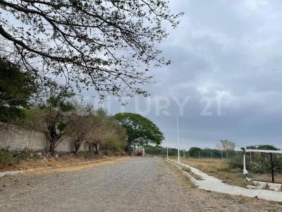 Ex Hacienda la Cañada Manzana 116 Lote 08,, Comala, 科利马 28450, 墨西哥