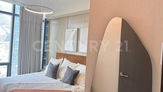 Monterrey, 新莱昂 64650, 墨西哥