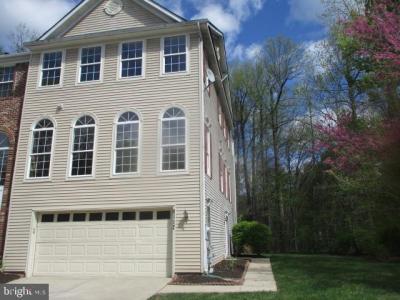 8117 Mallard Shore Drive, Laurel, Maryland 20724, USA