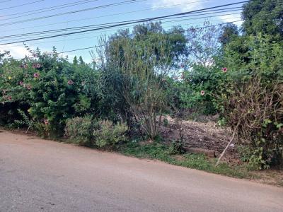 Guatamare Urbanización la Guarina, La Asunción, Nueva Esparta 6311, Venezüella