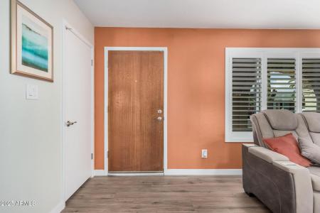 8248 E EMELITA Avenue, Mesa, Arizona 85208