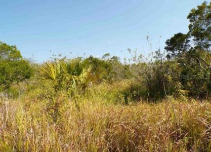 2536 Moupin, Palm Bay, Florida 32908, Stati Uniti