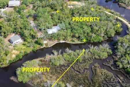 Homosassa, Florida 34448