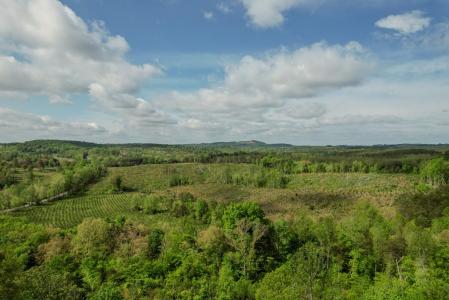 00 James River/oakville Rd, Appomattox, Wirginia 24553, USA
