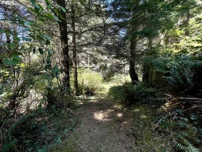 95629 CAPE FERRELO RD, Brookings, Oregon 97415, Stati Uniti