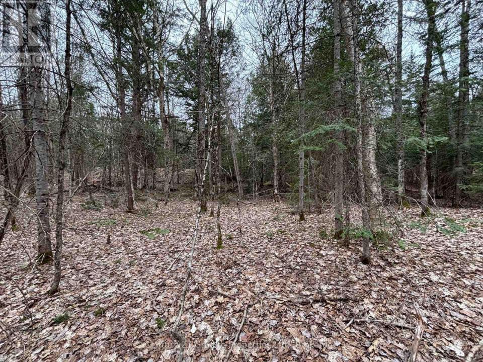 LOT 1 LOCH ERNE ROAD, Mcdougall, Ontario P2A 2W7, Kanada