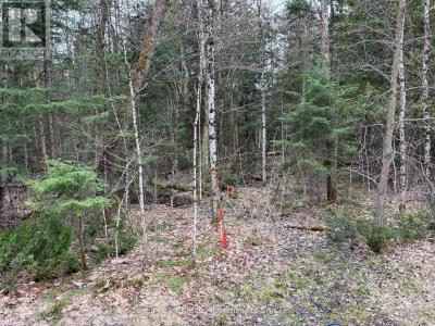 LOT 1 LOCH ERNE ROAD, Mcdougall, Ontario P2A 2W7, Kanada