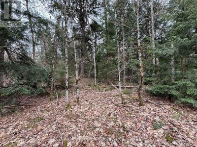 LOT 1 LOCH ERNE ROAD, Mcdougall, Ontario P2A 2W7, Canada