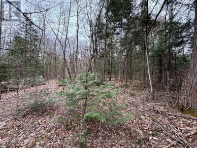 LOT 1 LOCH ERNE ROAD, Mcdougall, Ontario P2A 2W7, Canada