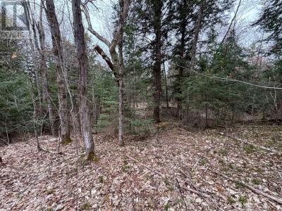 LOT 1 LOCH ERNE ROAD, Mcdougall, Ontario P2A 2W7, Kanada