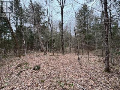 LOT 2 LOCH ERNE ROAD, Mcdougall, Ontario P2A 2W7, Canada