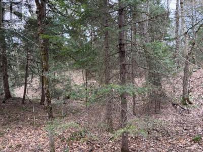 LOT 2 LOCH ERNE ROAD, Mcdougall, Ontario P2A 2W7, Canada