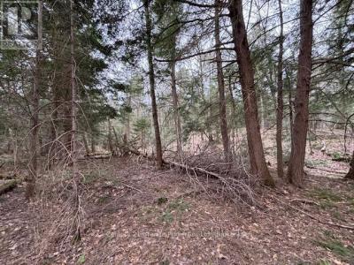 LOT 2 LOCH ERNE ROAD, Mcdougall, 安大略省 P2A 2W7, 加拿大