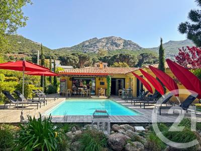 Calvi, Corse 20260, Франция