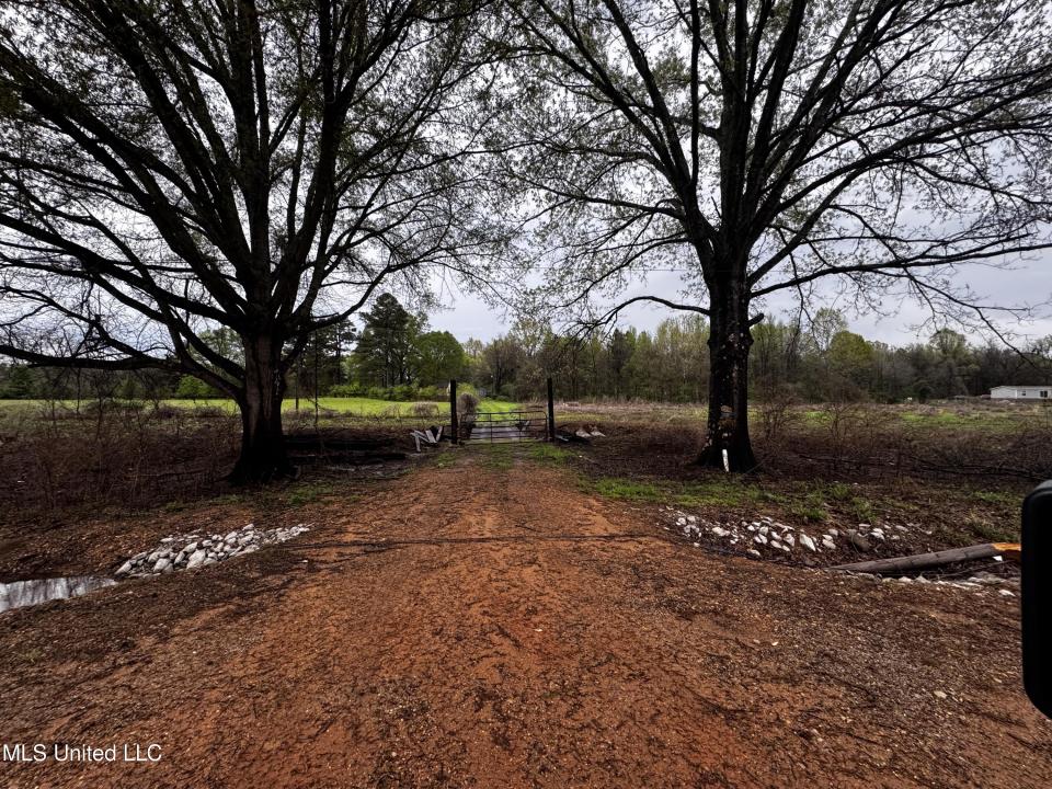 4595 Lucius Taylor Road, Como, Mississippi 38619