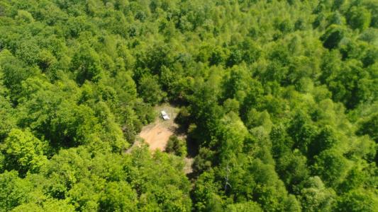 1409 Denton Phelps Rd, Somerset, Kentucky 42501, USA