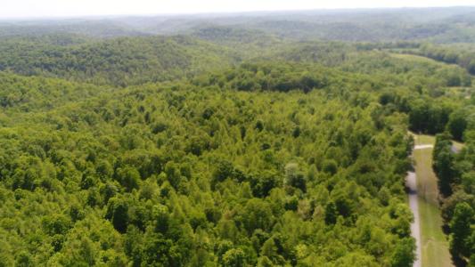 1409 Denton Phelps Rd, Somerset, Kentucky 42501, Stati Uniti
