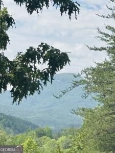 Lot 141 Rosen Strasse, Helen, Georgia 30545, USA