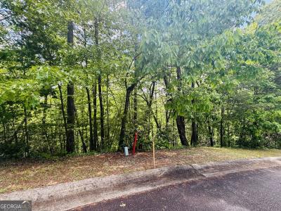 Lot 141 Rosen Strasse, Helen, Georgia 30545, Stati Uniti