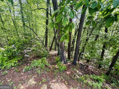 Lot 141 Rosen Strasse, Helen, Georgia 30545, USA