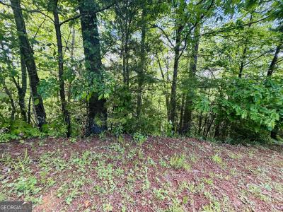 Lot 141 Rosen Strasse, Helen, Georgia 30545, Stati Uniti