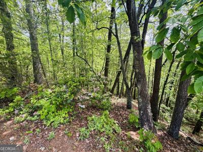 Lot 141 Rosen Strasse, Helen, Georgia 30545, Stati Uniti