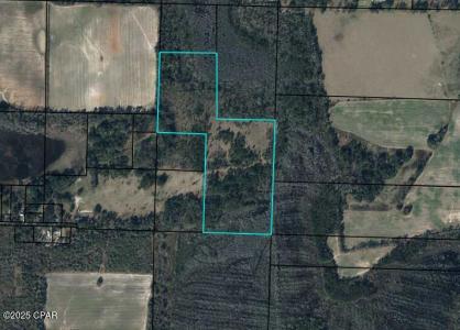 Floral Lane, Marianna, Florida 32446, USA