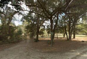 LOT 2 SE 141 ST LANE, SUMMERFIELD, Flórida 34491, Estados Unidos