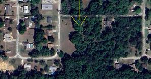 LOT 2 SE 141 ST LANE, SUMMERFIELD, Flórida 34491, Estados Unidos