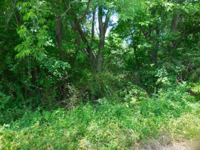 .38 ac Garrett Ave, East Tawakoni, Teksas 75472, Amerika Birleşik Devletleri