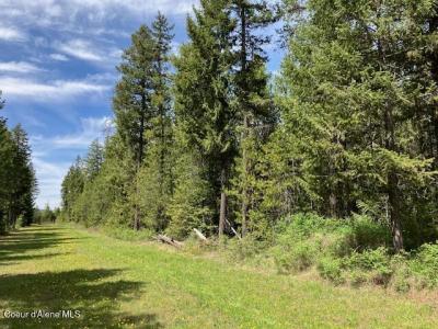 NNA Sierra Ln, Spirit Lake, Idaho 83869