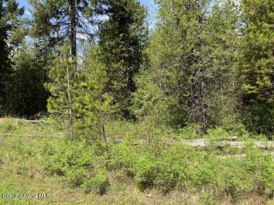 NNA Sierra Ln, Spirit Lake, Idaho 83869, États-Unis