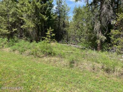 NNA Sierra Ln, Spirit Lake, Idaho 83869, États-Unis