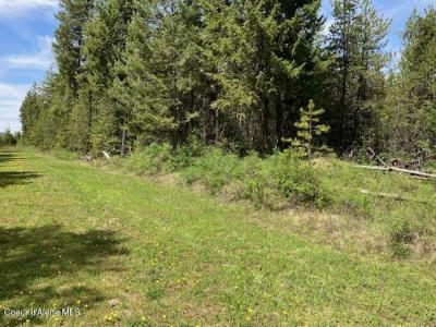 NNA Sierra Ln, Spirit Lake, Idaho 83869, États-Unis